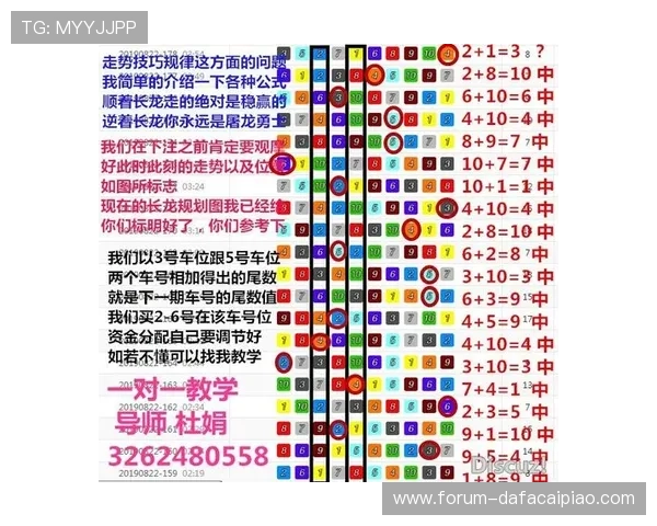 极速飞艇投注技巧揭秘与实战策略全方位解析指南