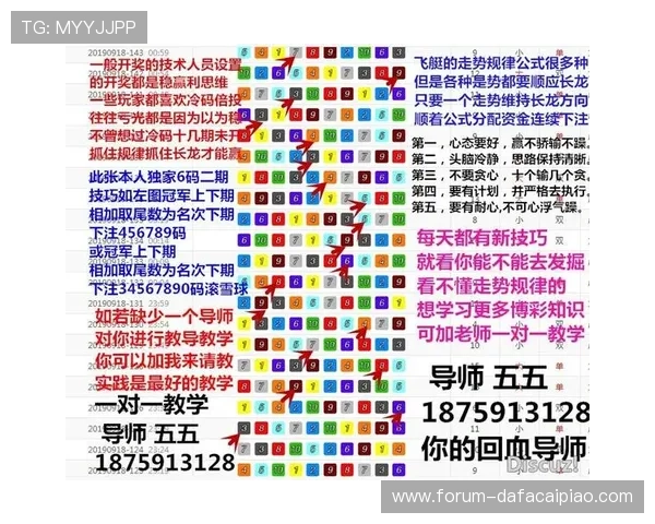 掌握极速飞艇投注技巧提升中奖率的实用攻略全解析