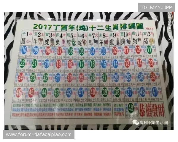 揭秘香港六合彩背后的数字奥秘与投注技巧全面解析