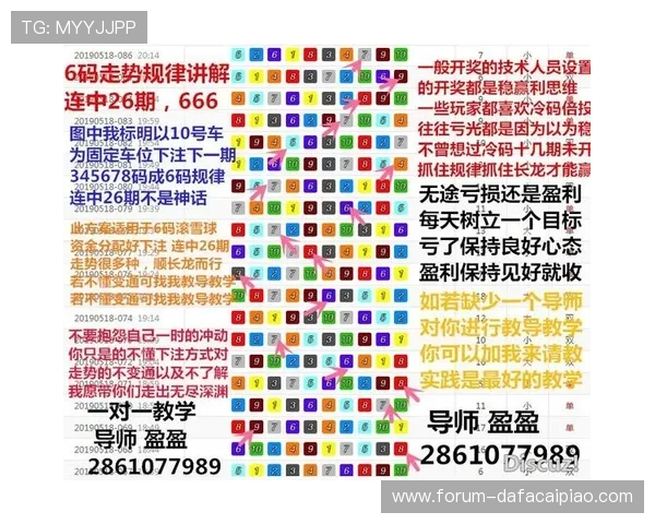 极速飞艇玩法揭秘与投注技巧全解析助力玩家高效赢取收益